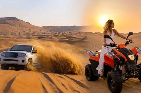 Luxury Evening Safari With Quad Bike