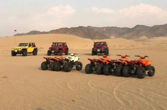 Morning Safari with Quad Bike